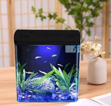 Mini Square Shape Aquarium Small Desktop Home Decortive Fish Tank with USB  Connector, Multi Mode LED Light, Ultra Silent Pump for Small Fishes (Black,  Size : 20x14x20CM) - fishaquariumhobby